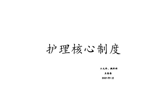 护理十大核心制度