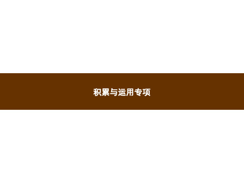 五年级上册语文作业课件-积累与运用专项