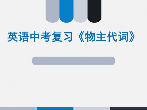 英语中考语法《物主代词》复习习题课 (共25张PPT)