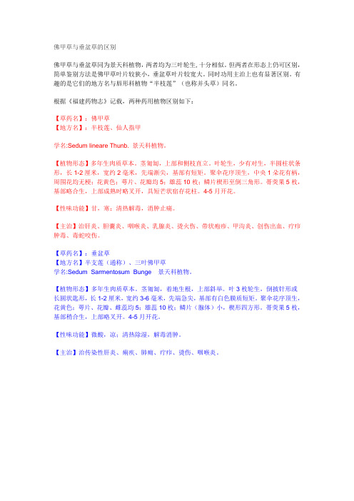 佛甲草和垂盆草