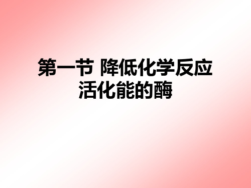 第1节 降低化学反应活化能的酶