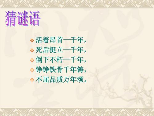 23_胡杨赞课件