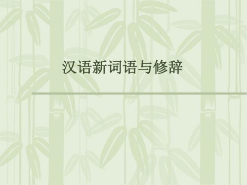 外国留学生汉语新词语 (6)