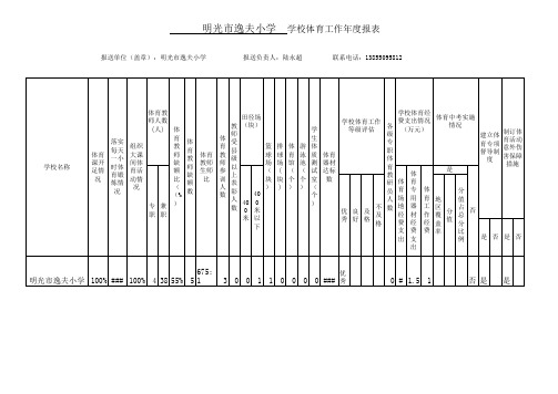 学校体育工作年度报表
