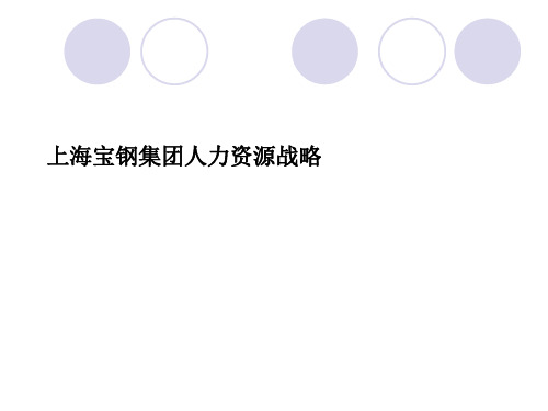 宝钢集团人力资源战略的实施措施.ppt