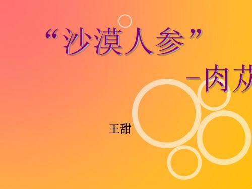 肉苁蓉简介