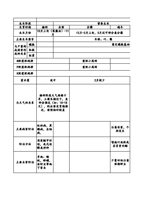 冬小麦的一生