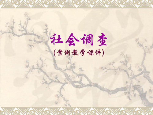 社会调查案例