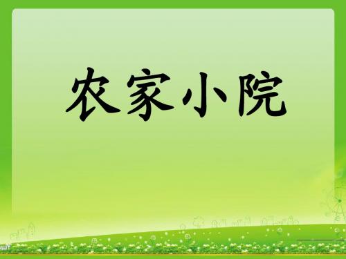 《农家小院》课件1