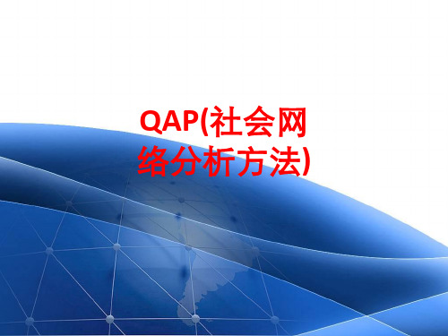[课件]QAP(社会网络分析方法)PPT