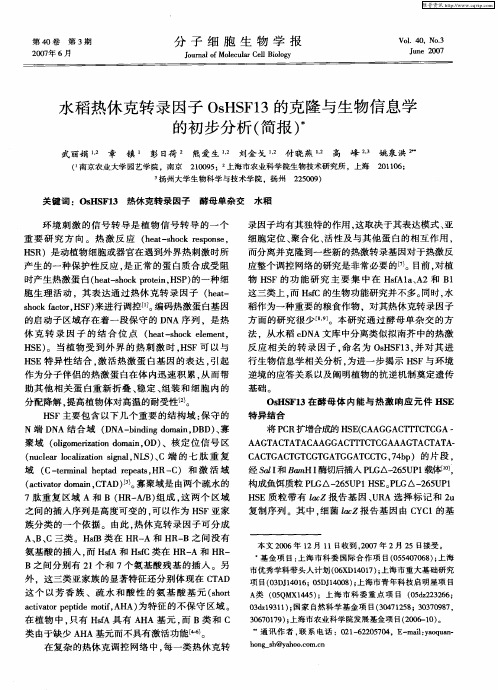 水稻热休克转录因子OsHSF13的克隆与生物信息学的初步分析(简报)