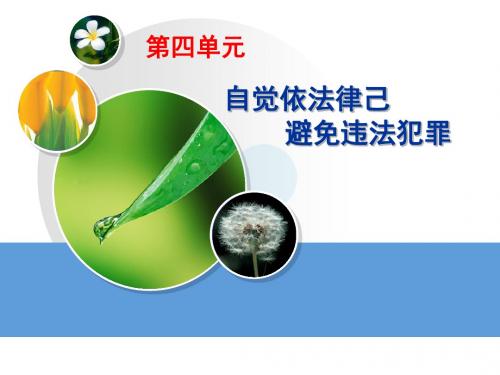 认清违法危害