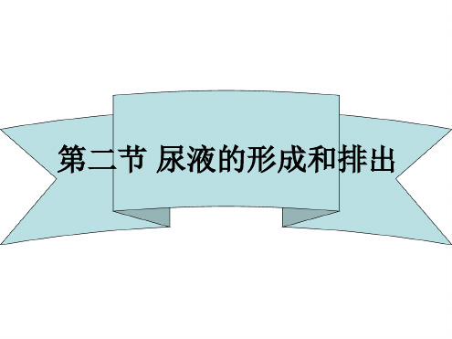 七年级下册生物课件 72尿液的形成和排出课件2北京版