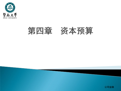第四章资本预算