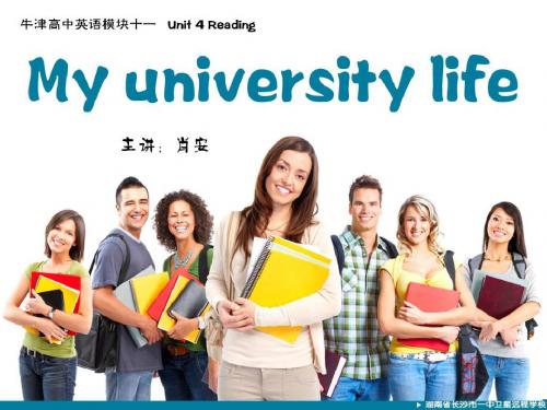 英语：Unit4《The next step》课件(2)(译林牛津版选修11)