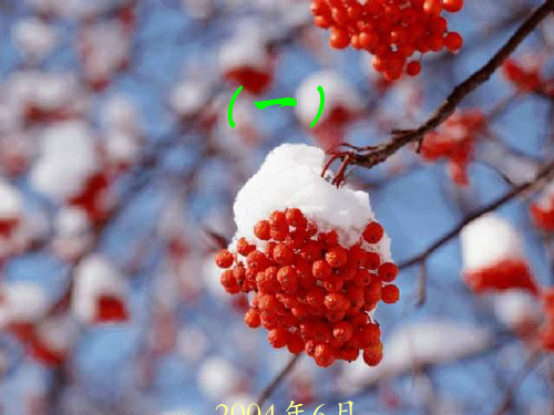 初中作文指导：《状物作文的写作》PPT