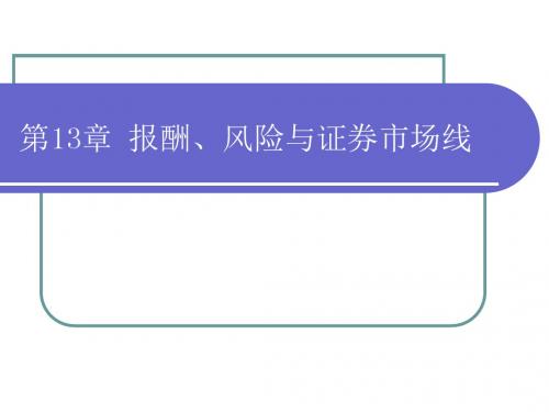 第13章 报酬、风险与证券市场线