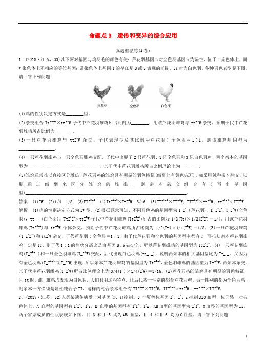 (江苏专用)2019高考生物二轮复习 非选择题冲击高分规范练 命题点3 遗传和变异的综合应用