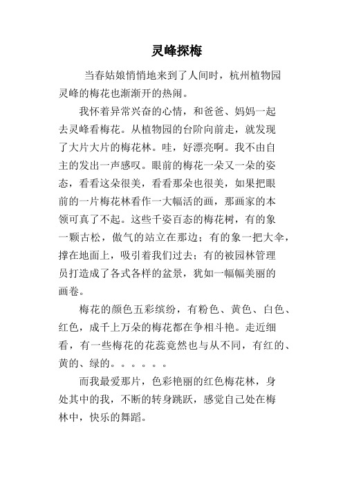 灵峰探梅