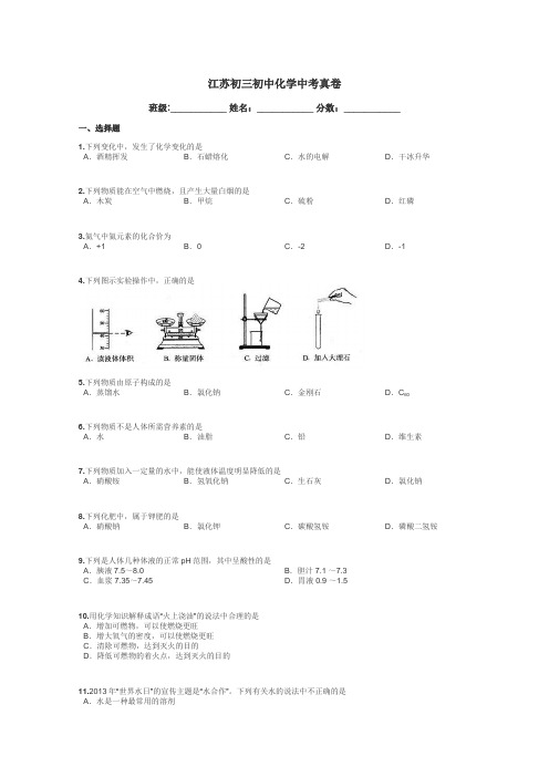 江苏初三初中化学中考真卷带答案解析
