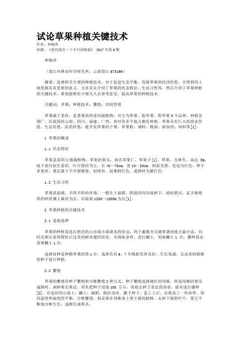 试论草果种植关键技术