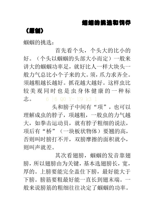 蝈蝈的挑选和饲养