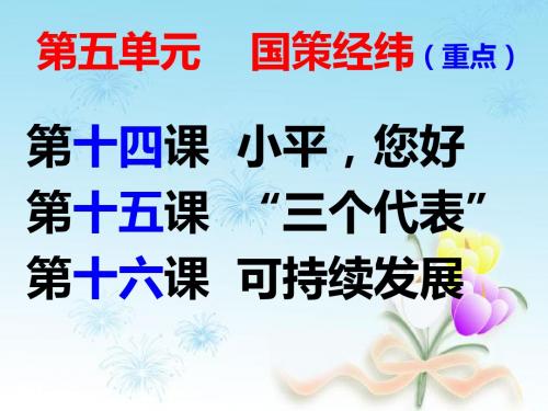 5.14 第一框 社会主义初级阶段 课件(教科版九年级全)