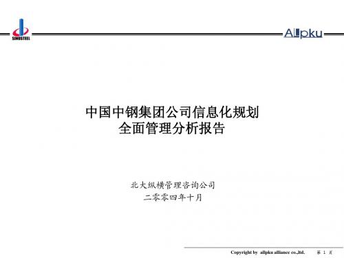 中钢集团项目子公司分类分析-终稿