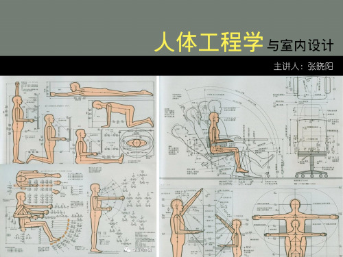 人体工程学ppt课件