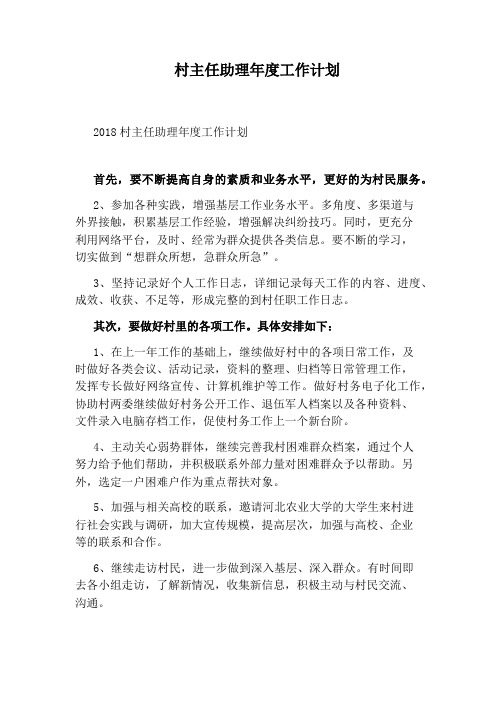 村主任助理年度工作计划