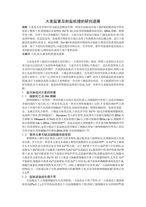 大麦盐害及耐盐机理的研究进展