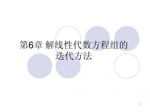 12 第六章解线性代数方程组的迭代方法