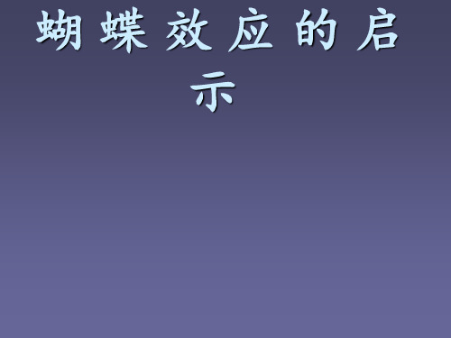 蝴蝶效应ppt课件