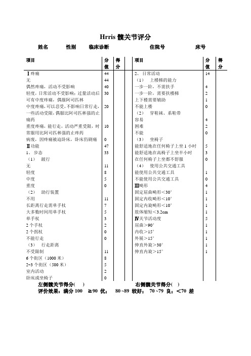 髋关节评分