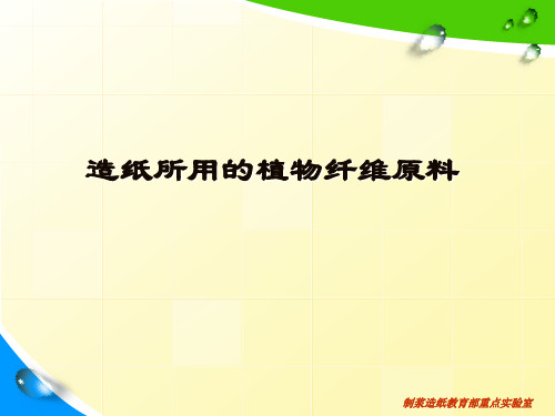 造纸所用的植物纤维原料