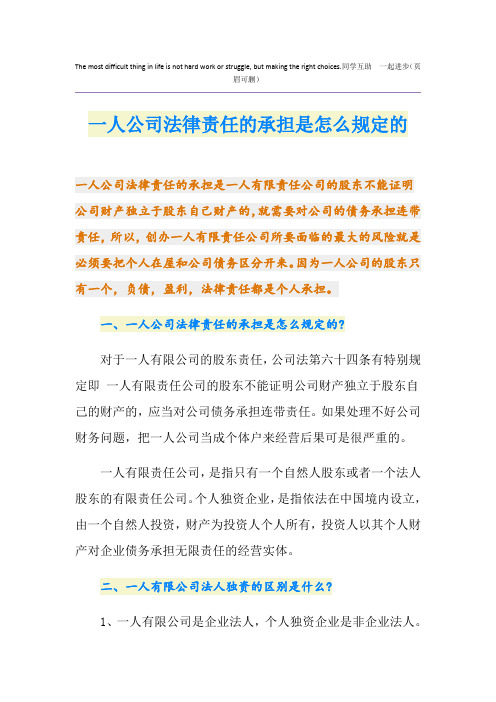 一人公司法律责任的承担是怎么规定的