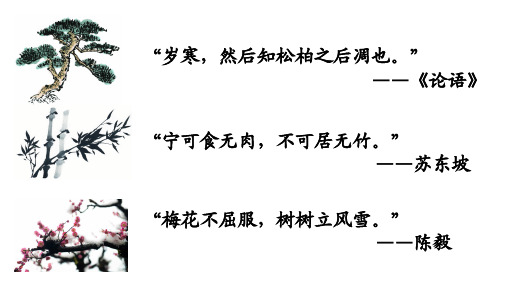 17岁寒三友