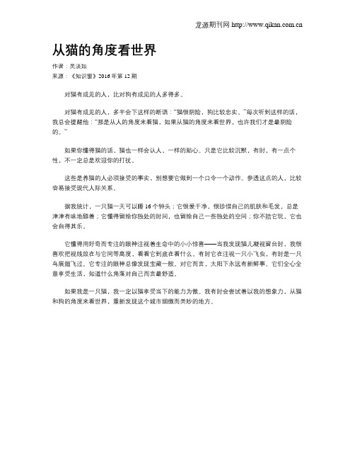 从猫的角度看世界