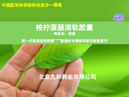 桉柠蒎介绍