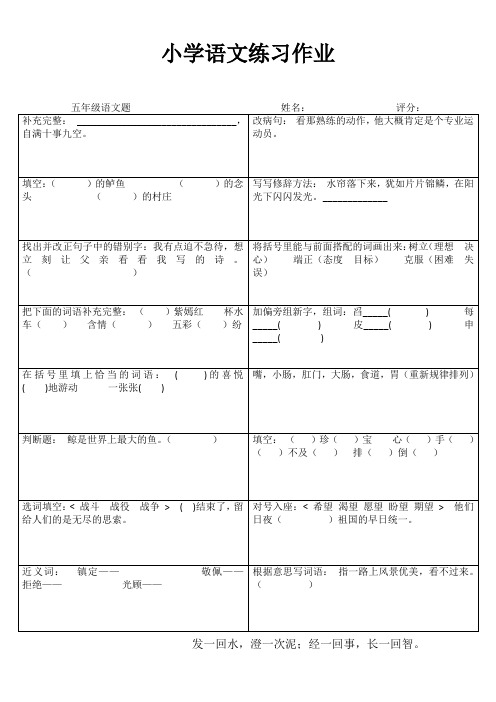 五年级语文课堂拓展精选练习I (97)