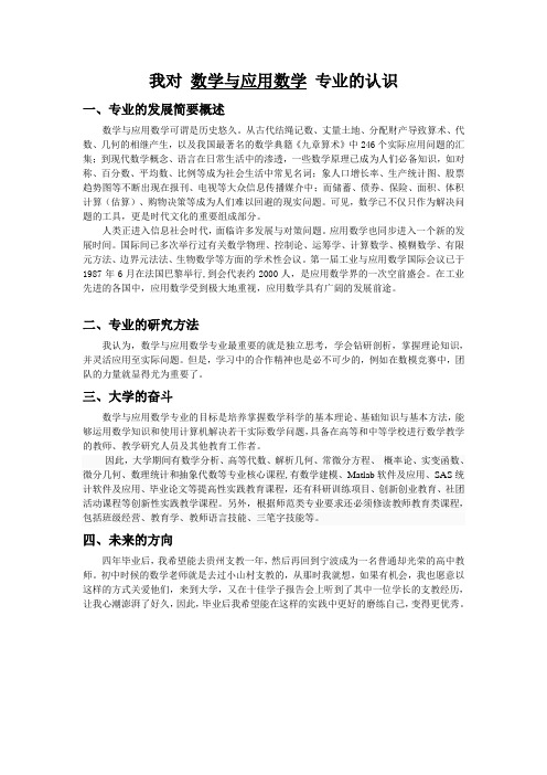 我对 数学与应用数学 专业的认识