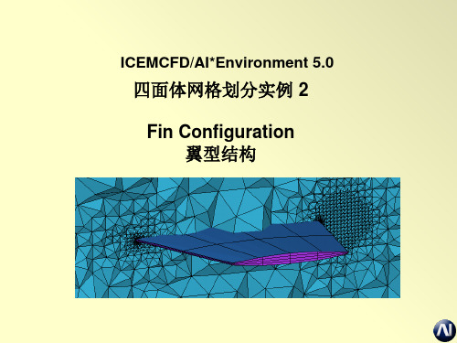 icem-教程