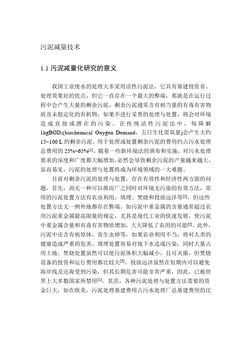 污泥减量