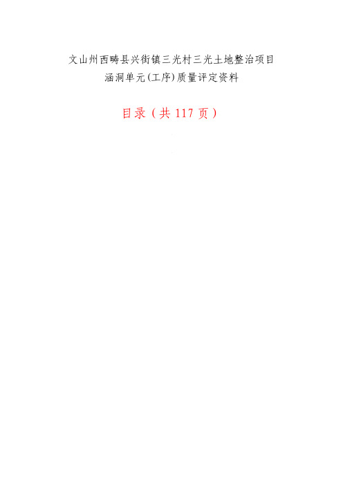 涵洞(9#盖板涵)