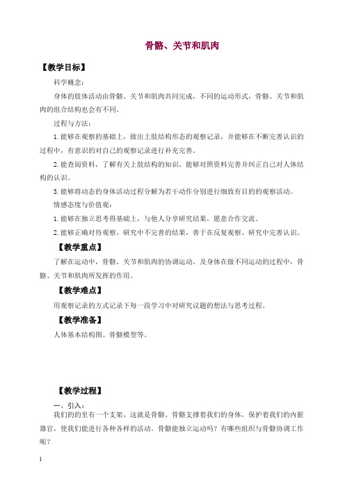 【精选】新教科版科学四年级上册《4.2、骨骼、关节和肌肉》教案.doc