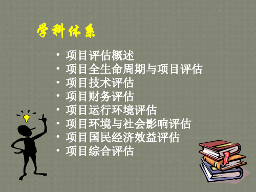 一、项目评估概述