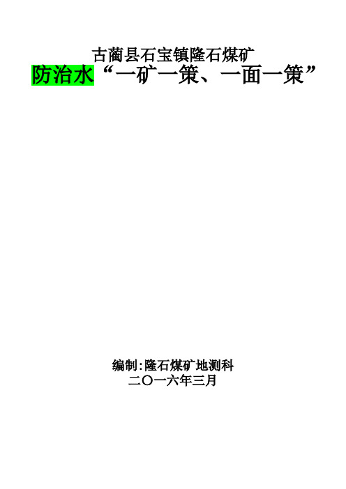 2016年度矿井防治水“一矿一策、一面一策”【范本模板】