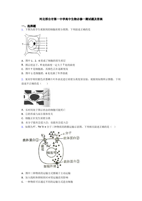 河北邢台市第一中学高中生物必修一测试题及答案