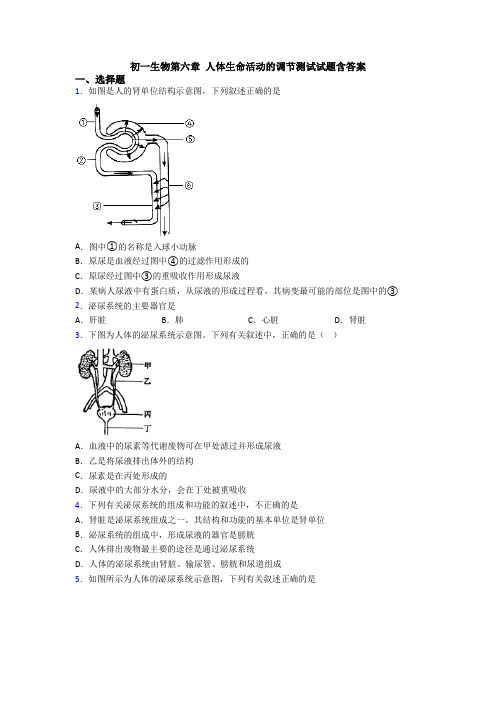 初一生物第六章 人体生命活动的调节测试试题含答案