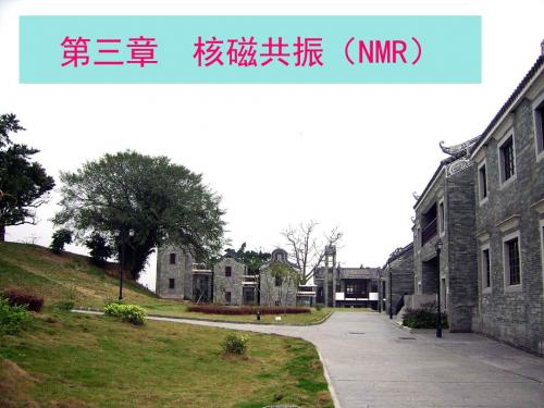 3波谱解析NMR3